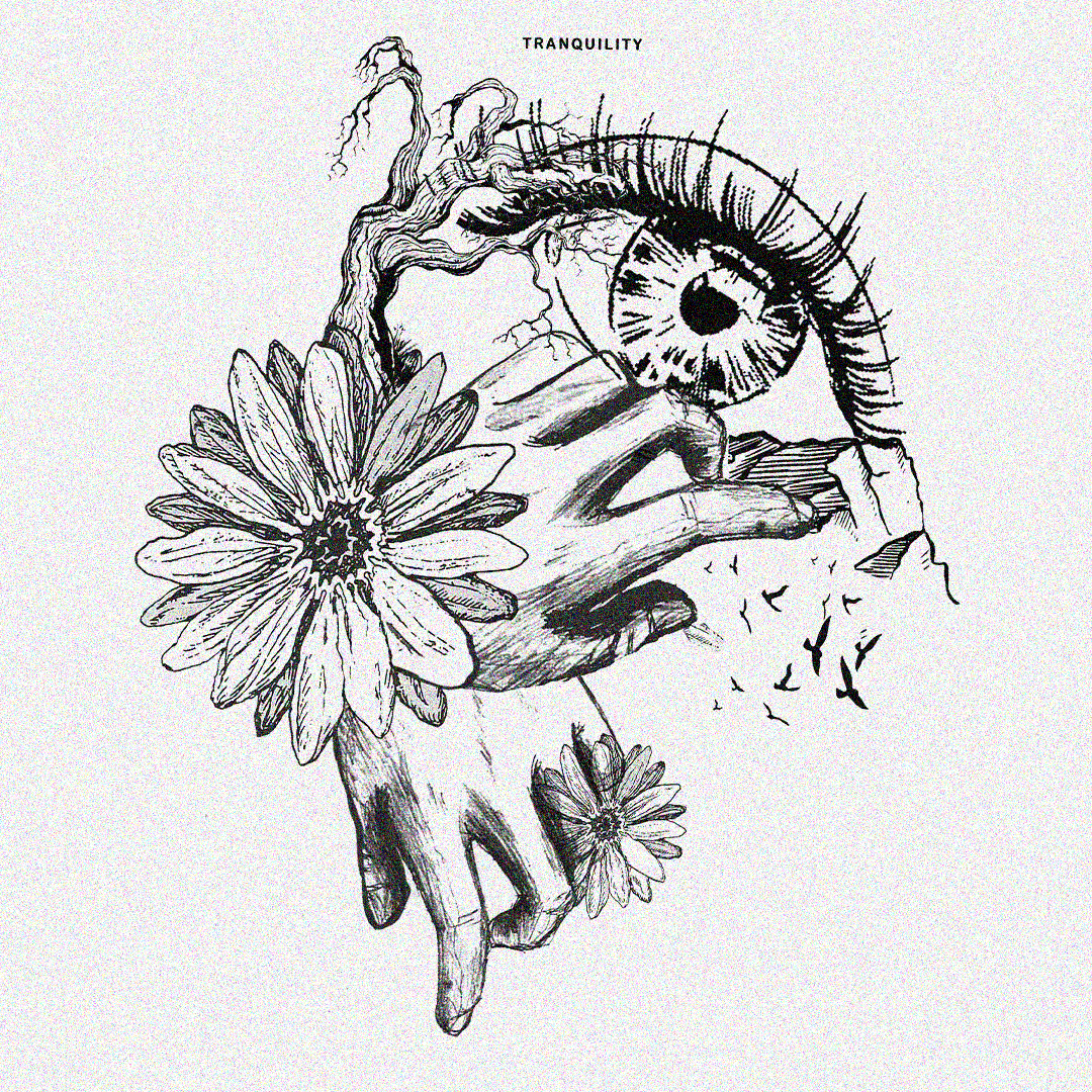 Redefining Collection.